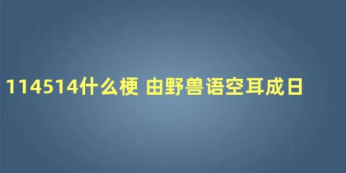 114514什么梗 由野兽语空耳成日语(114514代表什么)